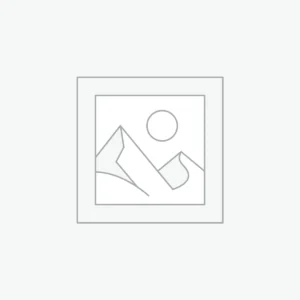 Urban Leather Backpack